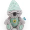 NICI Spielwaren Kuscheltier Schlafmützen Koala Kappy 22cm (48056) Kuscheltiere Saisonlieblinge Teddies & Plüschfiguren Spielzeugknaller