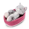 Nici 47144 Sleeping Kitties Schlafende Katze Im Körbchen 16cm Plüsch Grau