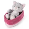 Nici 47141 Sleeping Kitties Schlafende Katze Im Körbchen 12cm Plüsch Grau