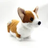 Nici 90710 Hund Corgi Braun-weiß Ca 30cm Plüsch Kuscheltier Taiwan Limited
